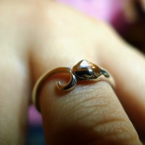 Snake Ring | Ouroboros -487
