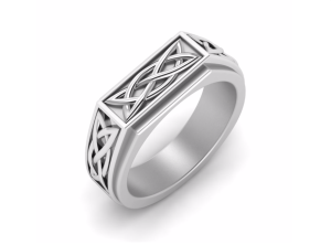 Introducing this gorgeous Celtic Signet Ring, a stunning piece of Irish jewelry that combines the timeless elegance of gold with the traditional beauty of Celtic knotwork. Expertly crafted from 10k white gold, this rectangular signet ring boasts intricate